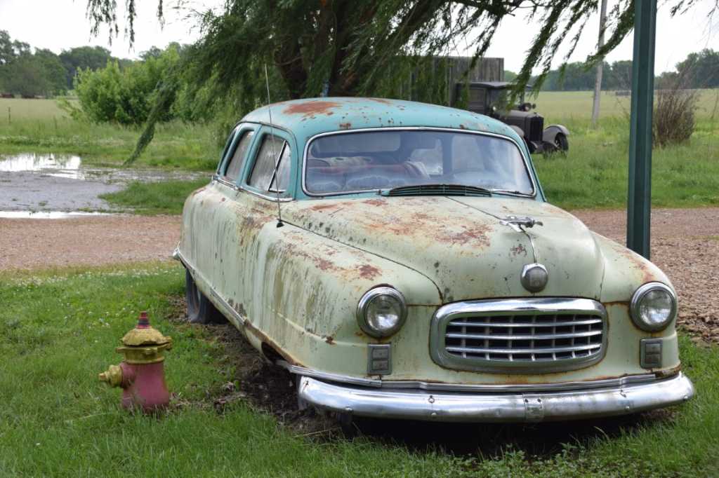 DSC_0347Mittel_.JPG